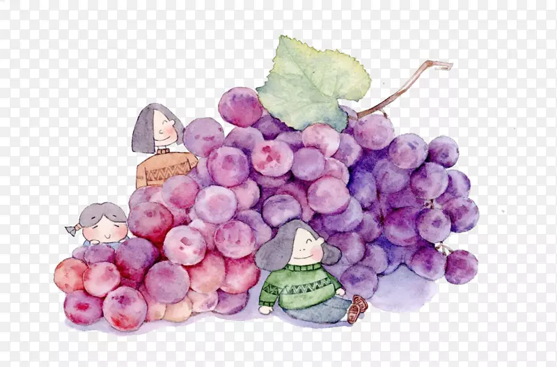 手绘紫色葡萄免抠素材