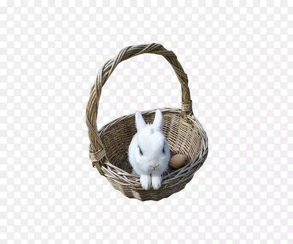 竹篮小白兔素材