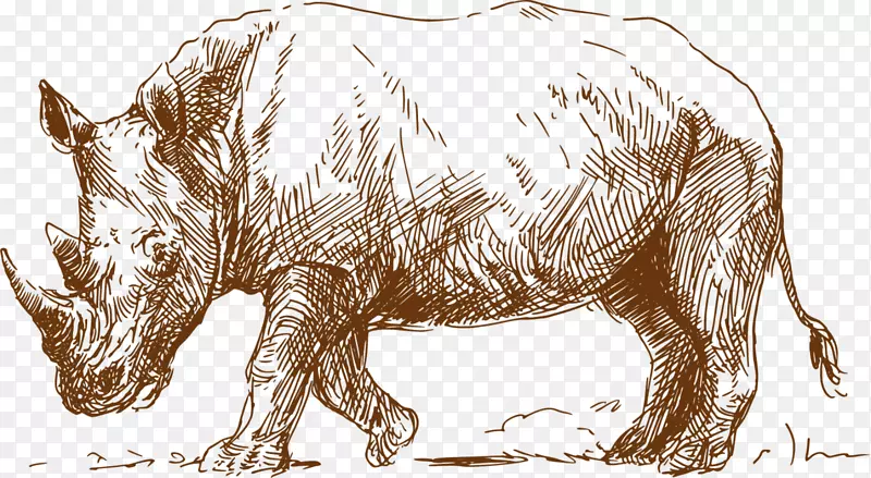 素描棕色犀牛