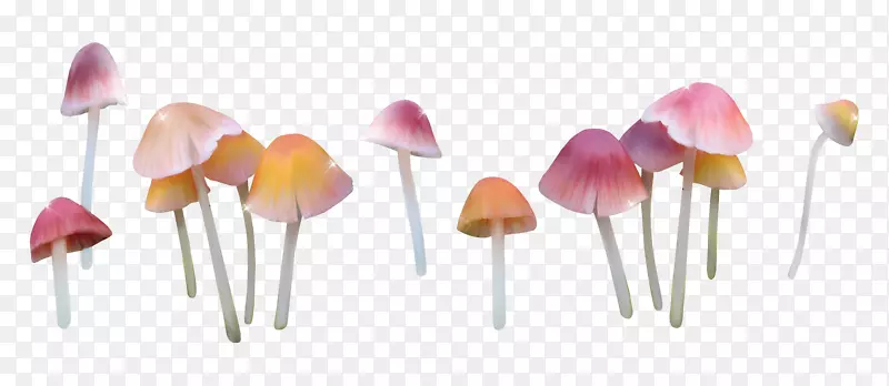 漂亮彩色蘑菇