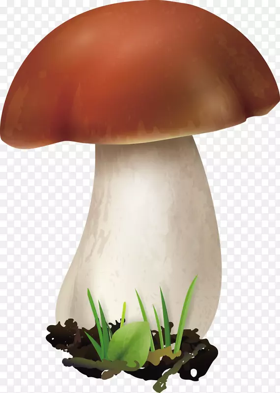 一朵矢量褐色蘑菇