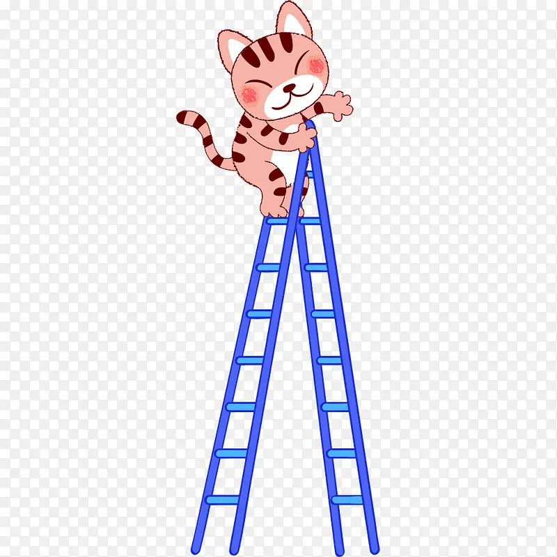 爬梯字的小猫咪