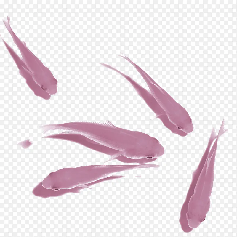 淡紫色水墨鱼