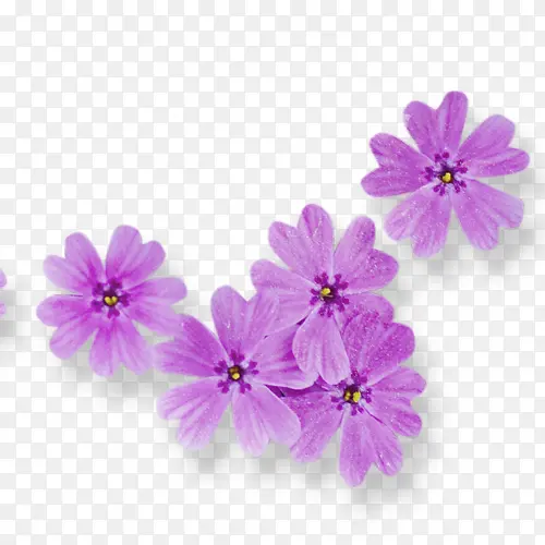 紫色梦幻装饰花朵设计图