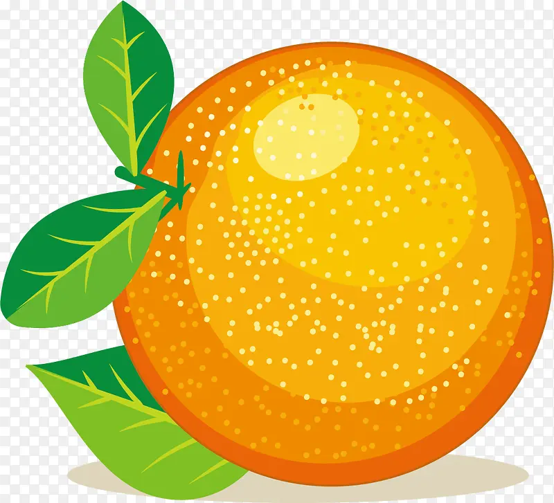 白点卡通矢量柑橘水果