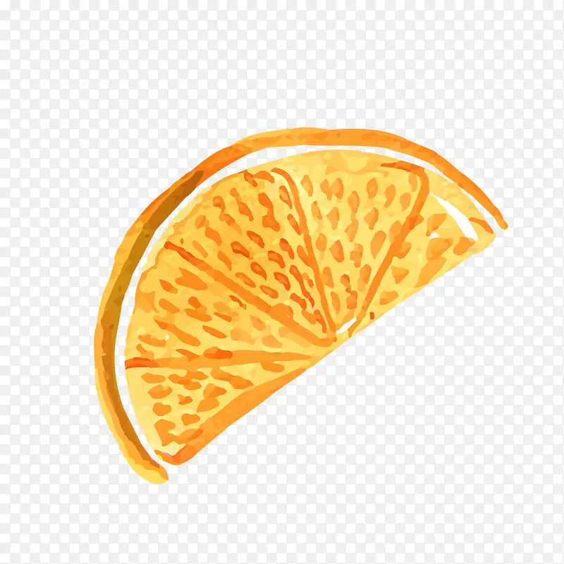 切开的手绘橙子矢量图