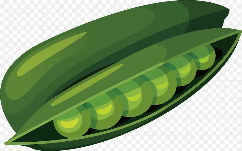 矢量图水彩绿色蚕豆