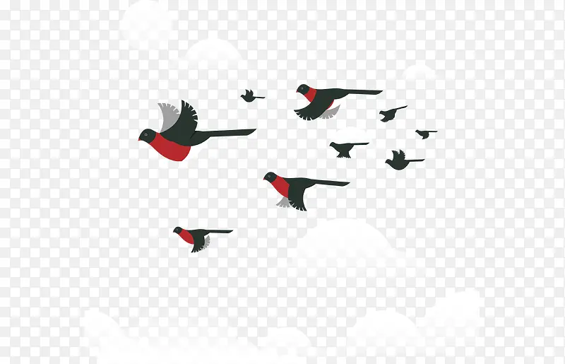 空中自由飞翔的鸟群