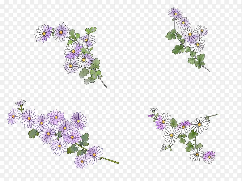 紫色植物花朵