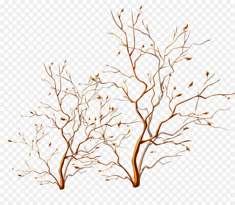卡通手绘干枯的树枝
