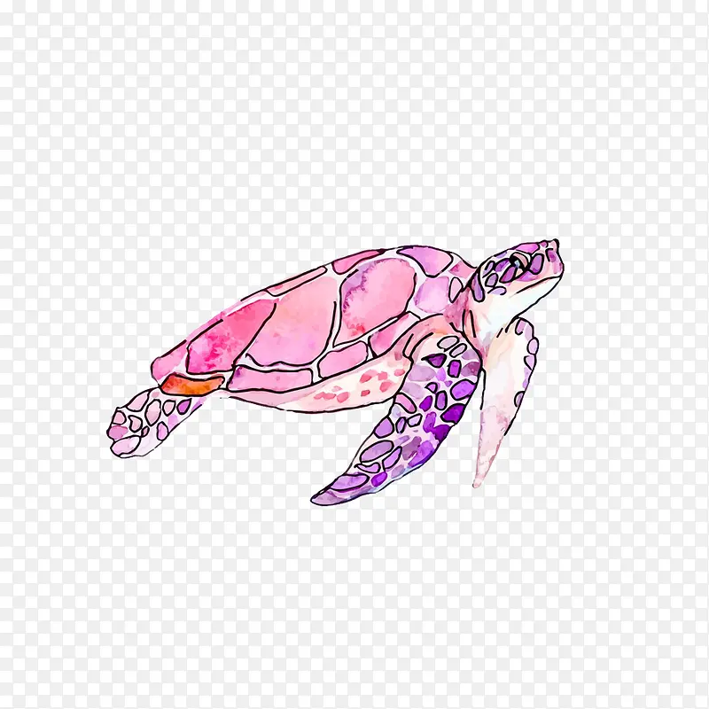 手绘水彩可爱海龟元素