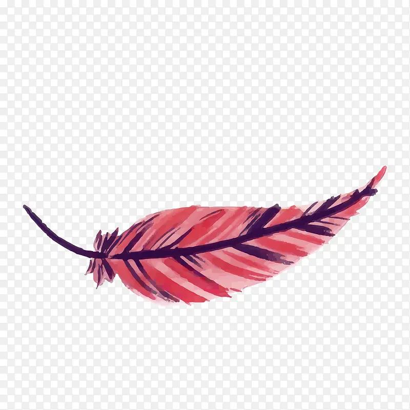 红色纹理羽毛飘落