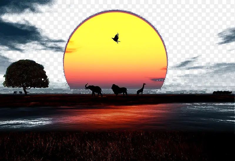夕阳下的草原和动物