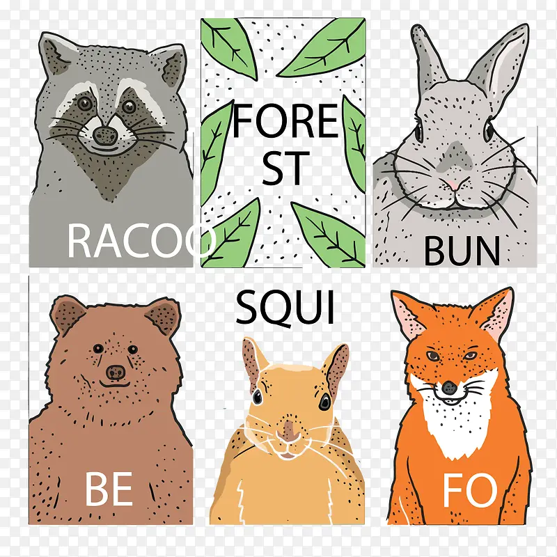 彩绘森林动物卡片矢量