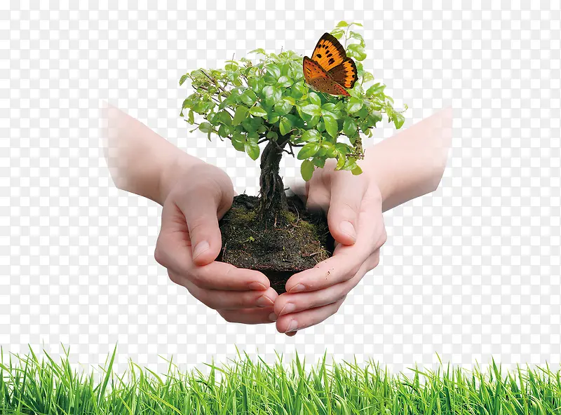 爱护地球要种树