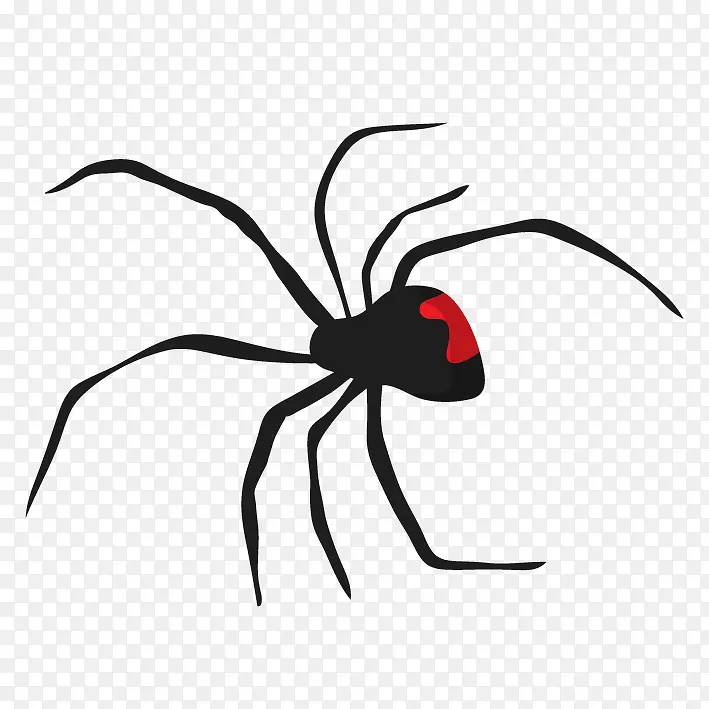 手绘黑寡妇蜘蛛