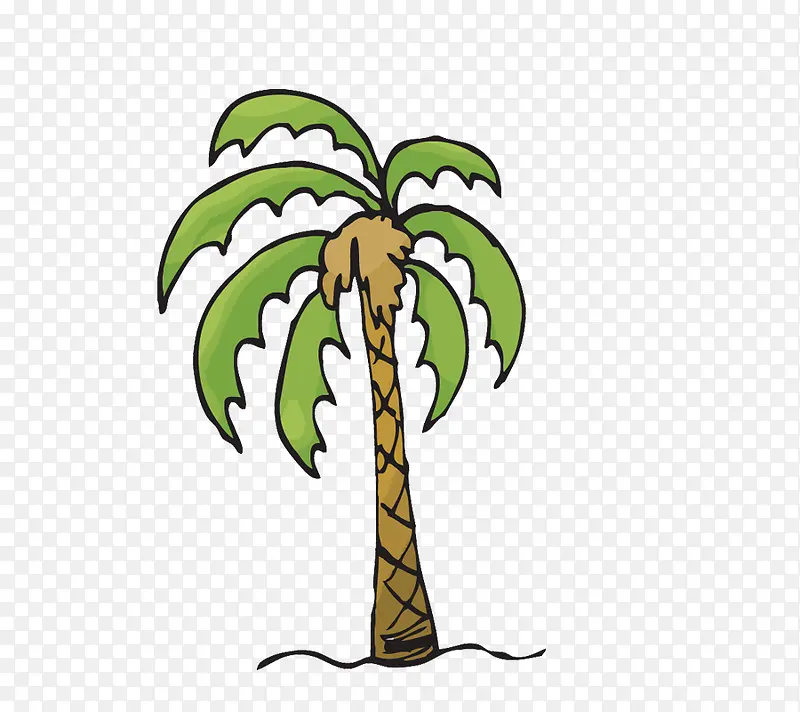 热带树木椰树