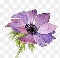 花卉图案卡通鲜花素材 紫色唯美