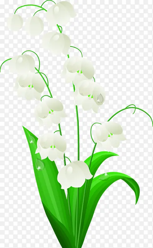 白色卡通铃兰花朵设计