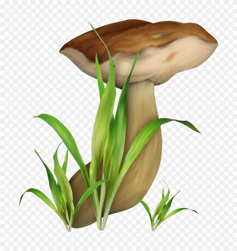 绿叶蘑菇