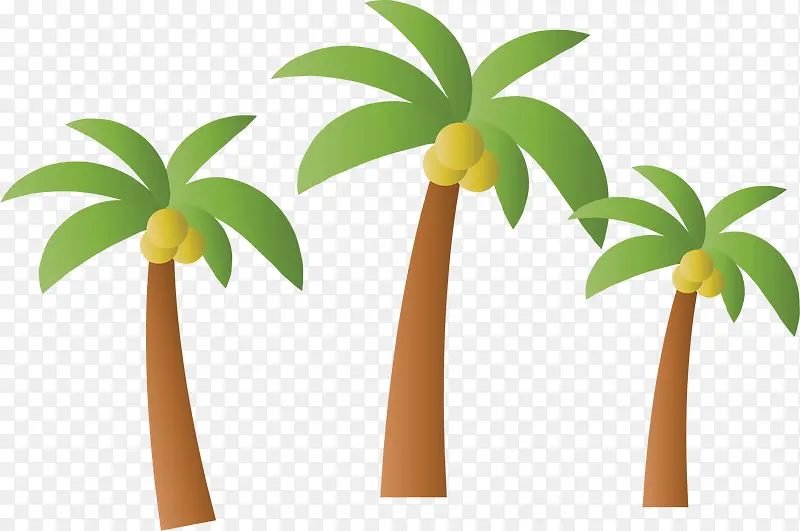 夏天海边的椰子树
