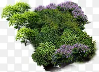 高清创意花园草丛紫色花朵