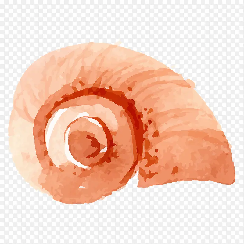 手绘水彩绘画蜗牛壳