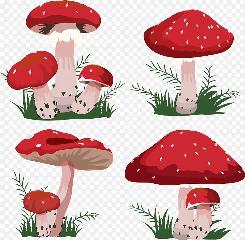 水彩蘑菇集合