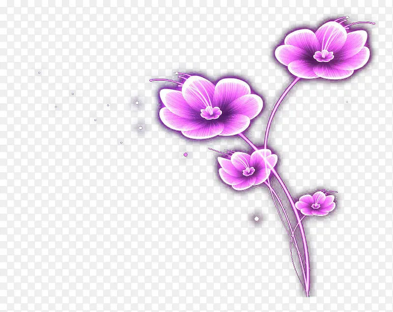 紫色发光的花儿