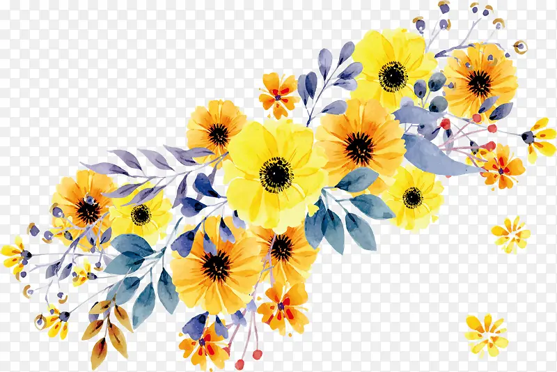美丽的水彩黄色雏菊
