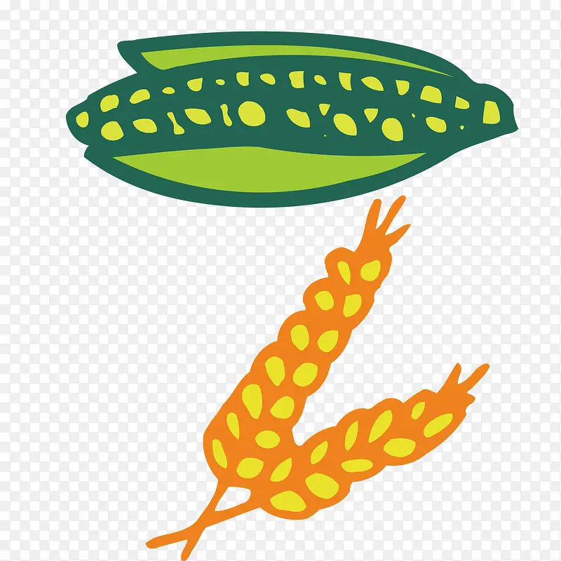 五谷杂粮玉米和小麦