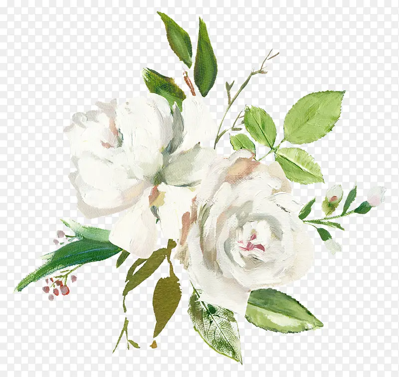 手绘水彩白色花朵
