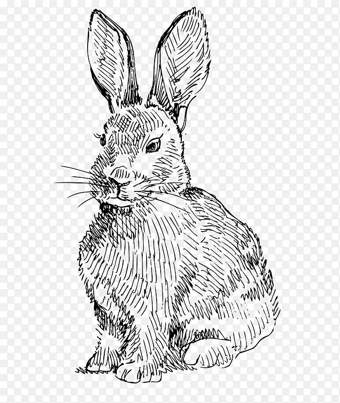 大胖LOGO可爱兔子手绘素描矢