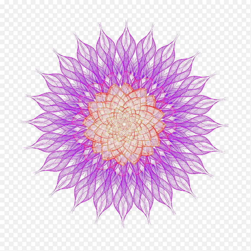 梦幻紫色绽开的花朵png