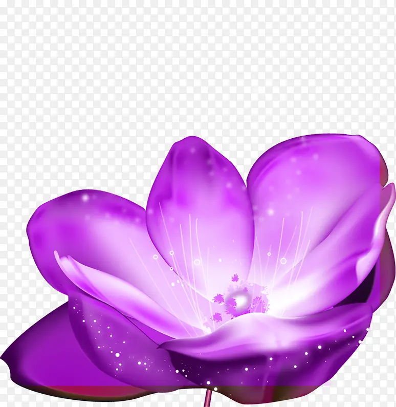 手绘紫色花朵梦幻