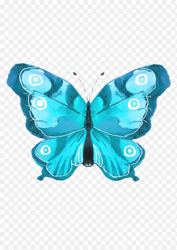 蓝色手绘的蝴蝶