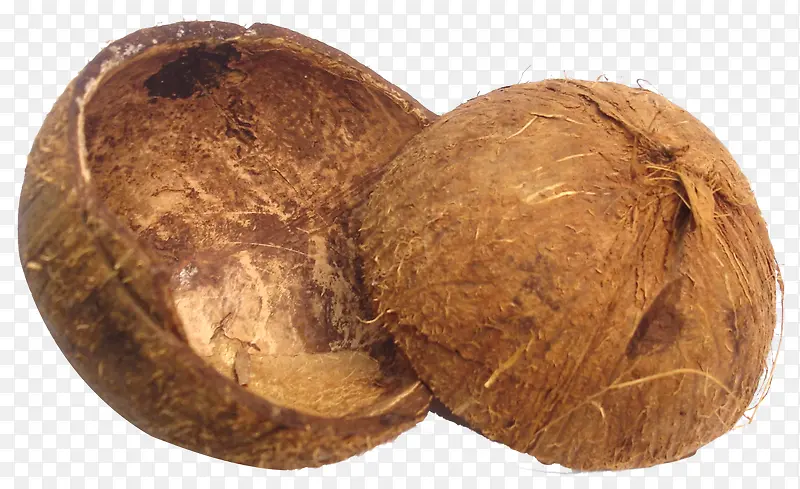 空空的椰子壳免抠素材