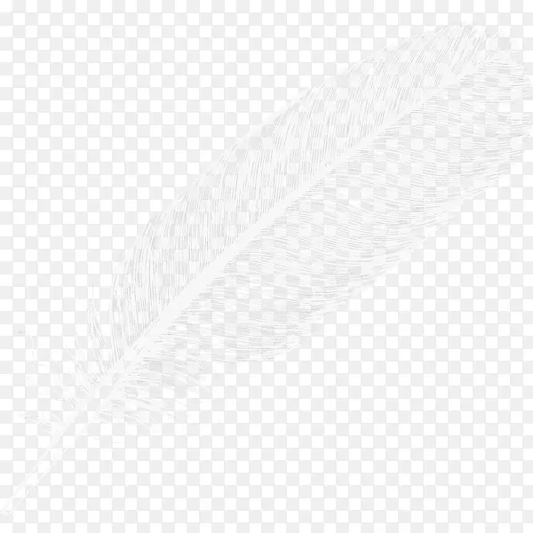 白色羽毛图案