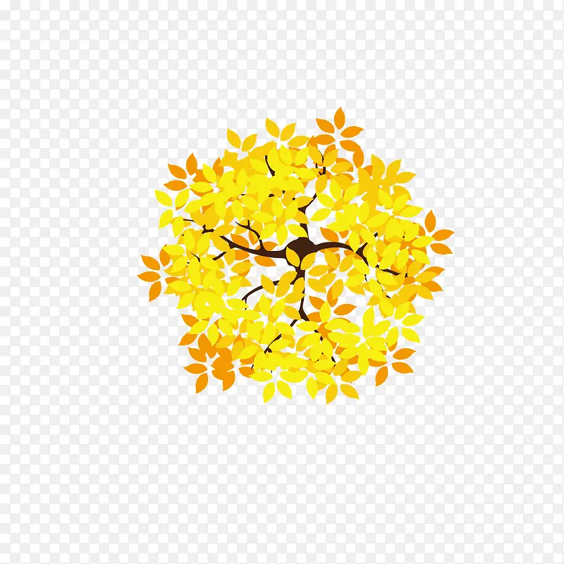 俯视金黄的树叶