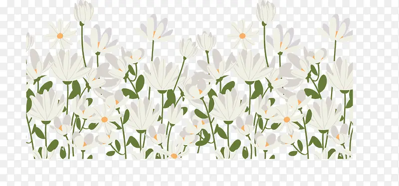 春天浪漫白色花丛