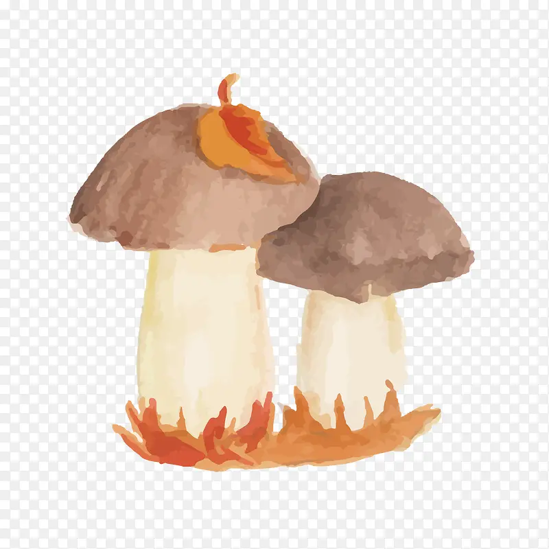 水彩绘蘑菇矢量图