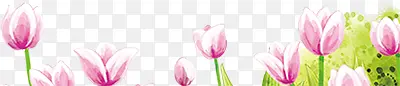 粉色卡通手绘花朵郁金香