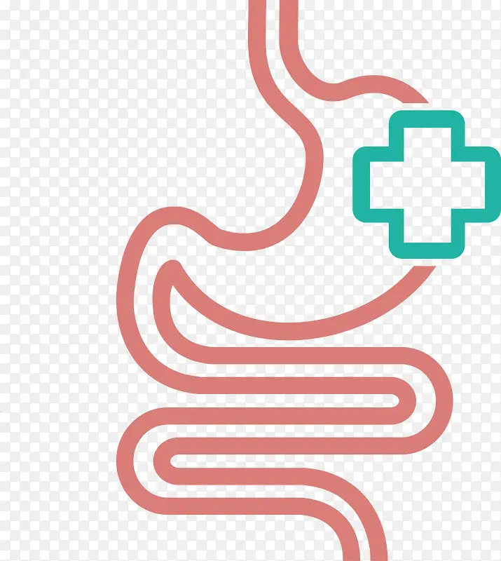 胃肠消化系统