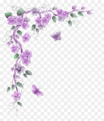 紫色花朵藤蔓