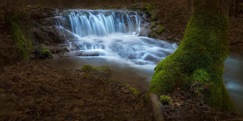 峡谷瀑布大树苔藓