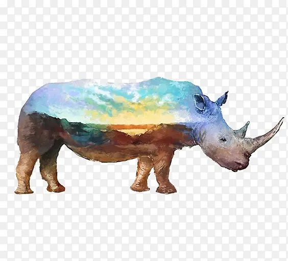 彩色犀牛