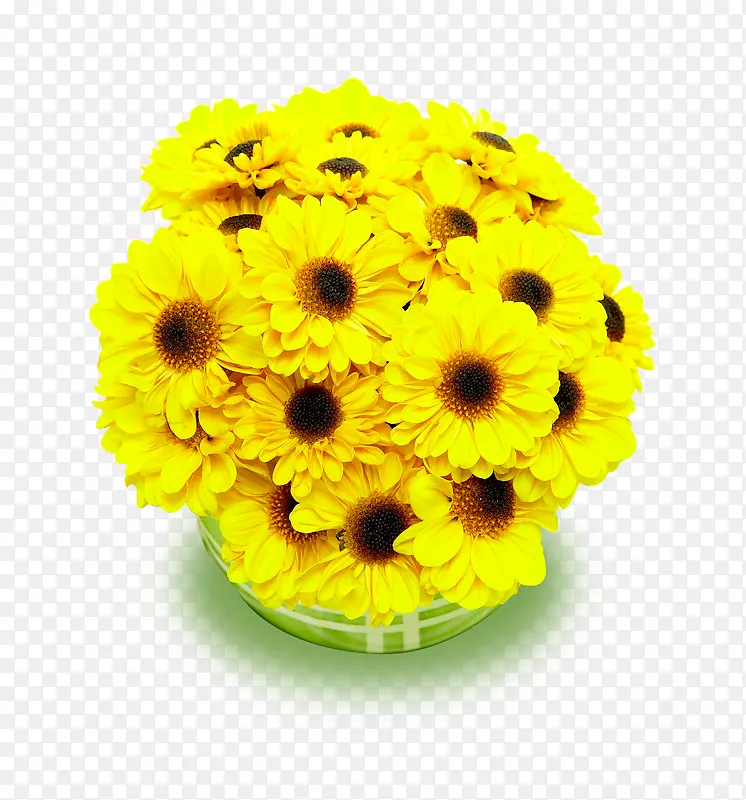 黄色菊花花束