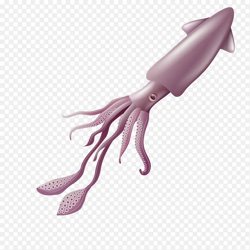 卡通鱿鱼海底动物设计
