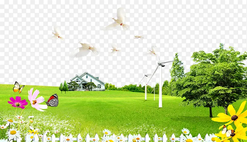 绿草房子和平鸽
