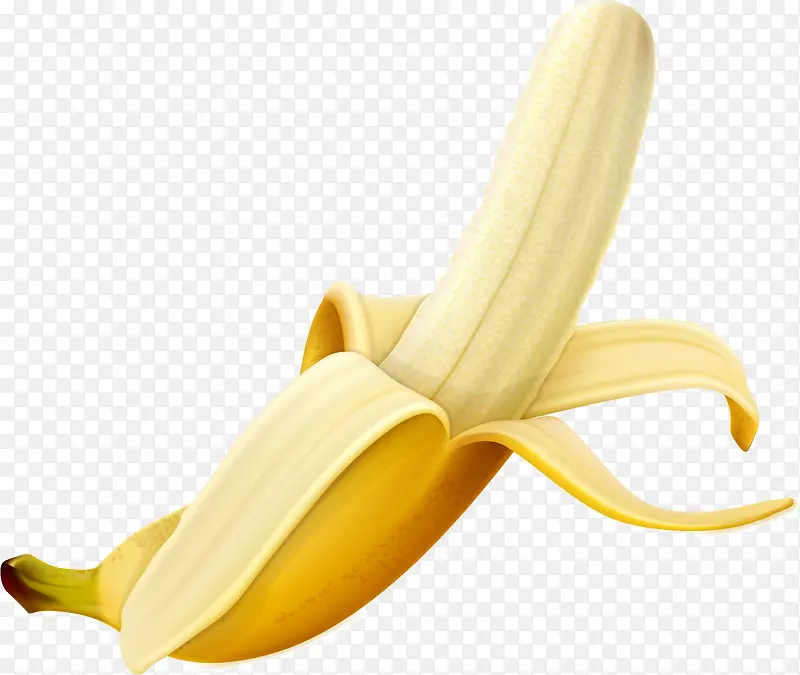 矢量手绘逼真的香蕉
